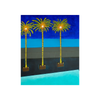 Dani Marie, Night in Saint Tropez - TreasureTrove