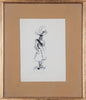 Henri Catargi Eleganta - Grafica