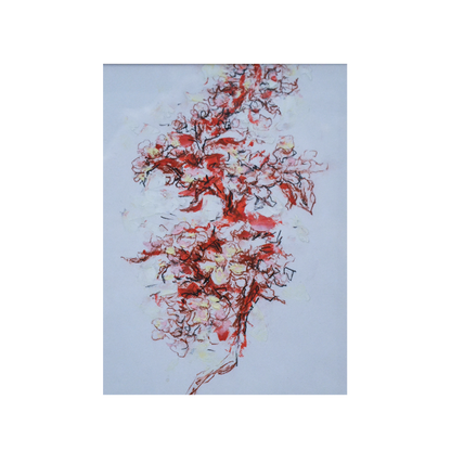 Mihai Sarbulescu, Cires Japonez - TreasureTrove